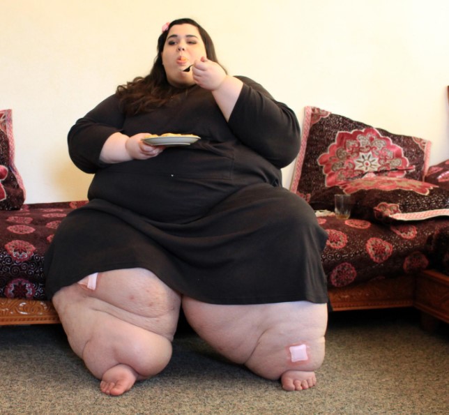 Bodybuilding Diet Plan - A Terse Guide To Diet Fitness