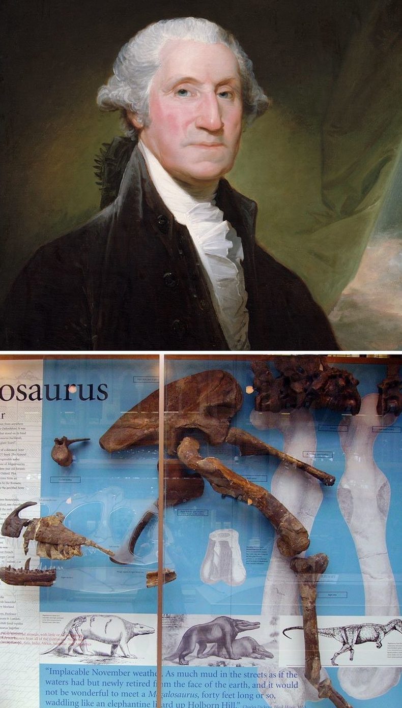George Washington Died In 1799. The First Dinosaur Fossil Was Discovered In 1824, Which Means He Never Knew Dinosaurs Existed