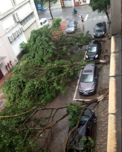 La Loi De La Nature