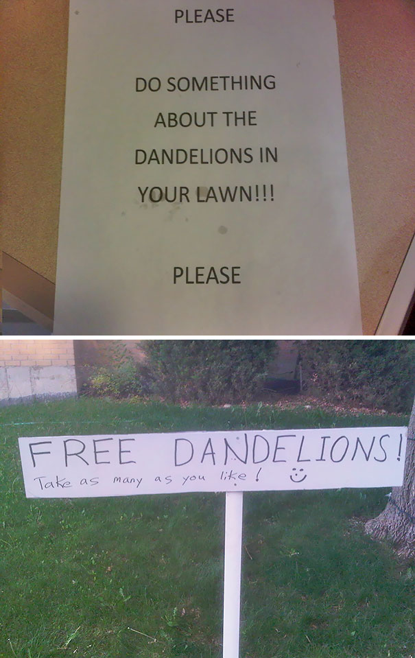 Free Dandelions