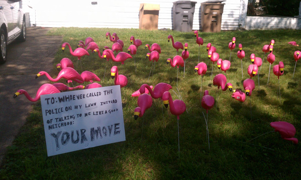 How About Them Flamingoes