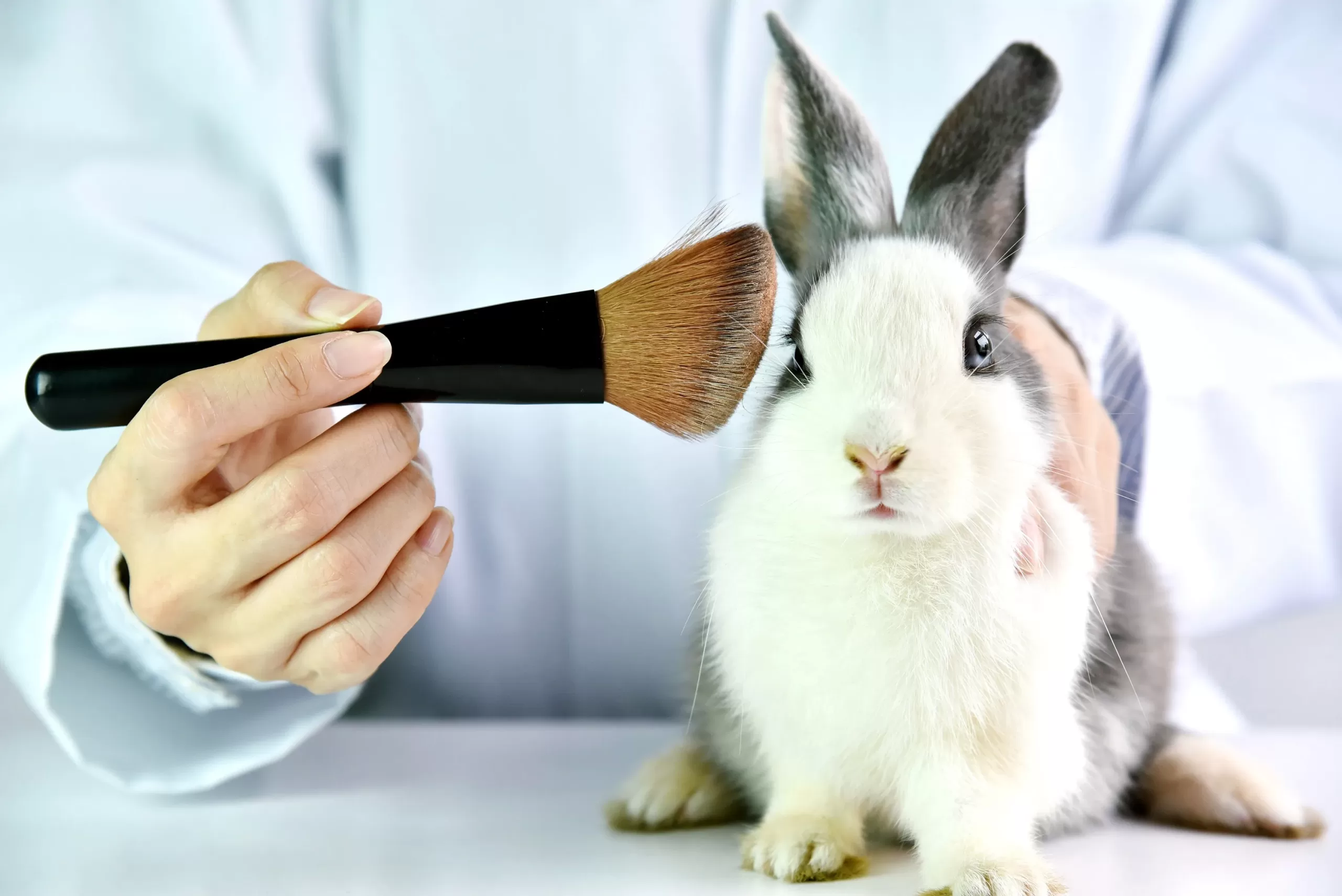 Products Tested On Animals