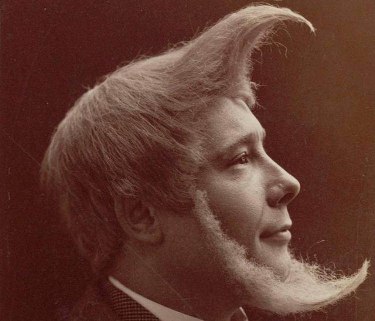 The Trendy Hairstyle In 1895